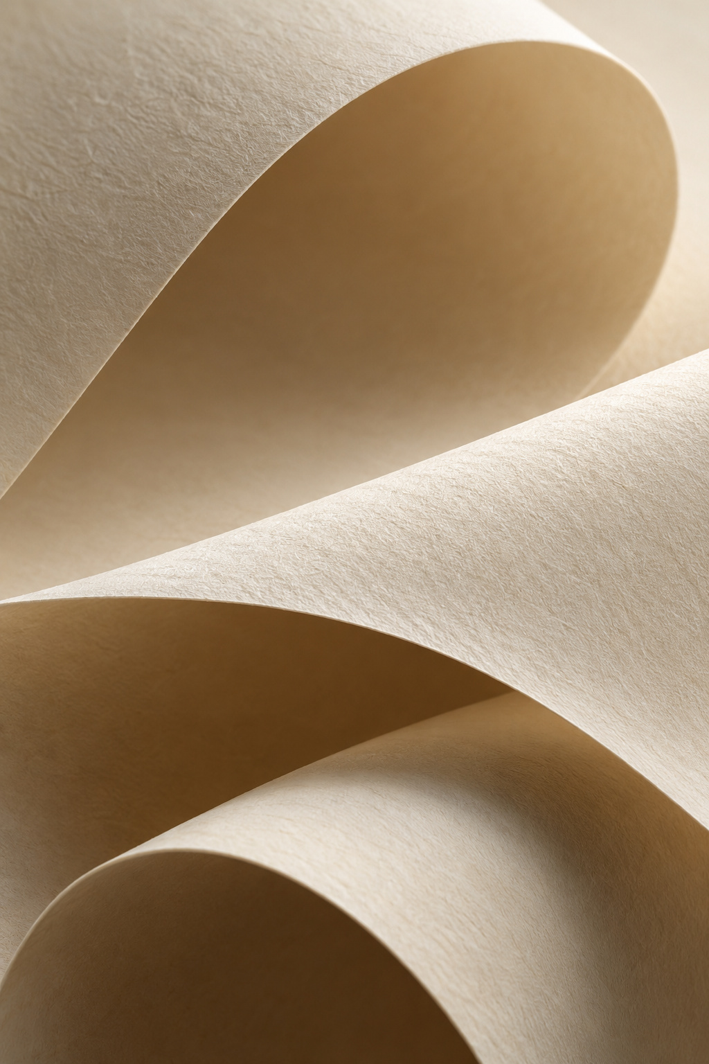 Papier ivoire en courbes — inspiration Magnolia